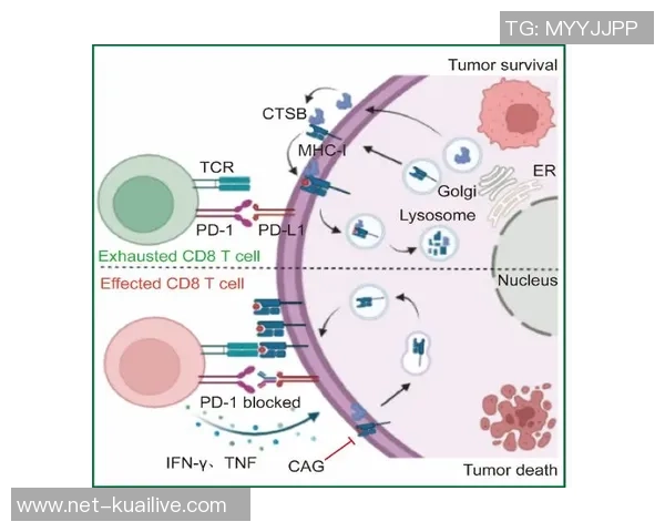 南京街舞队战术解析与对比研究深入探讨团队风格与竞争策略