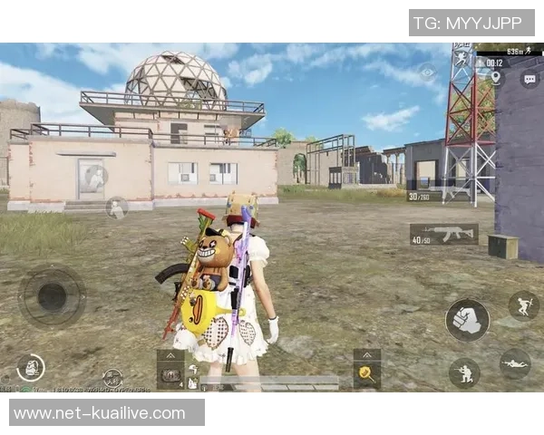 和平精英热议FPX实力引发讨论玩家对战队表现的不同看法